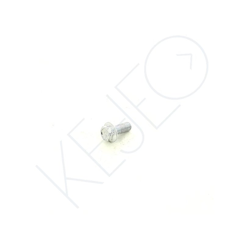 VIS HEXA A BRIDE M10X1.25X25