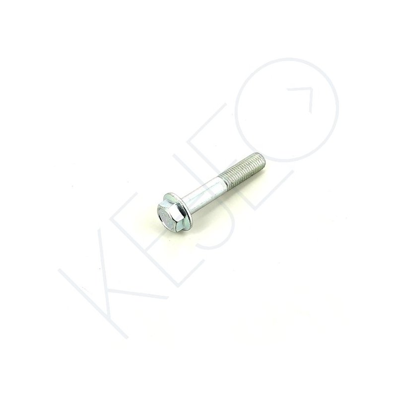 VIS HEXA A BRIDE M10X1.25X55