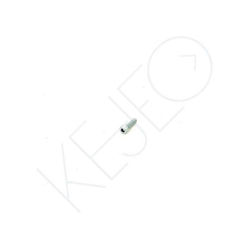 Vis m6x20 p1,0