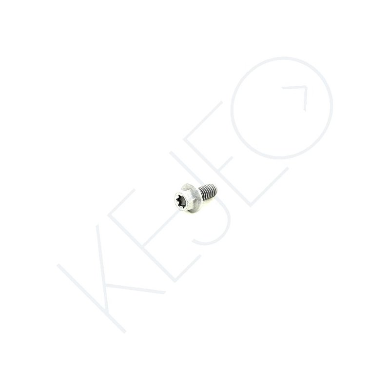 VIS M6X12