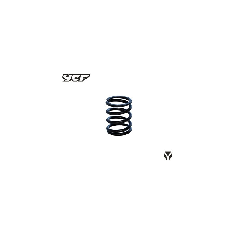 RESSORT SOUPAPE EXTERIEUR KLX