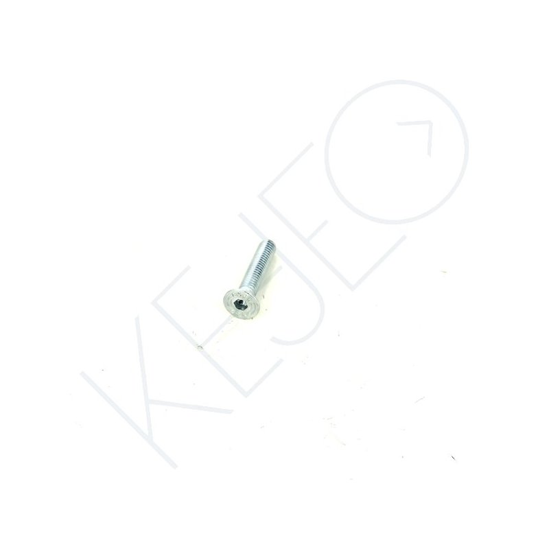 VIS ALLEN DIN 7991 M6X30 CAL.10.9 Z/BLANC