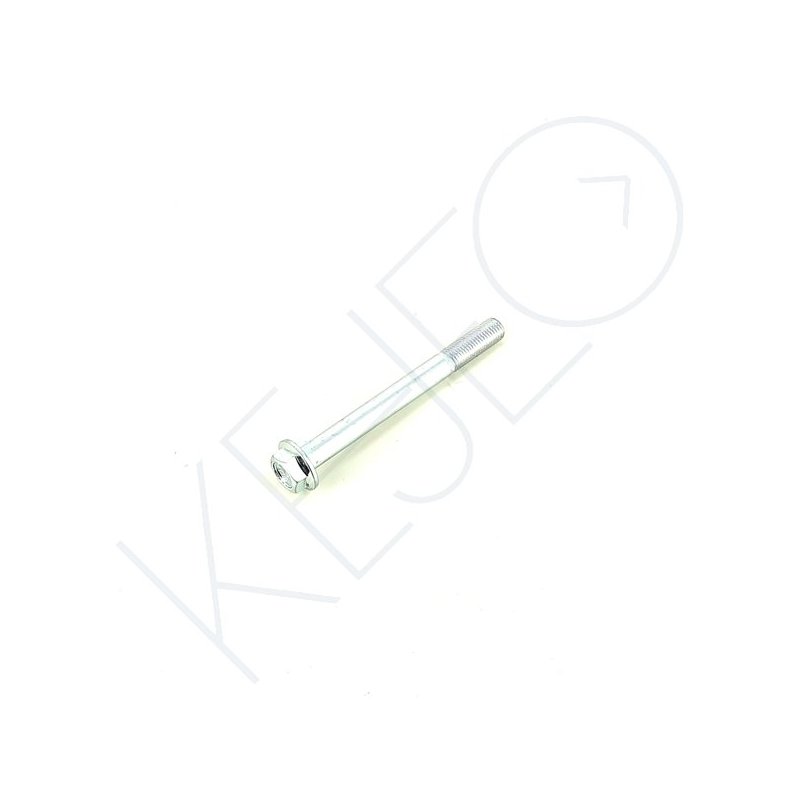 VIS HEXA A BRIDE M10X1.25X100