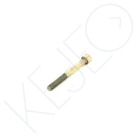 VIS M6 x 55 T.C.C.E.