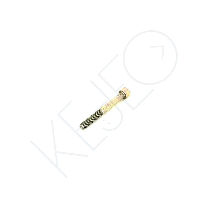 VIS M6 x 55 T.C.C.E.