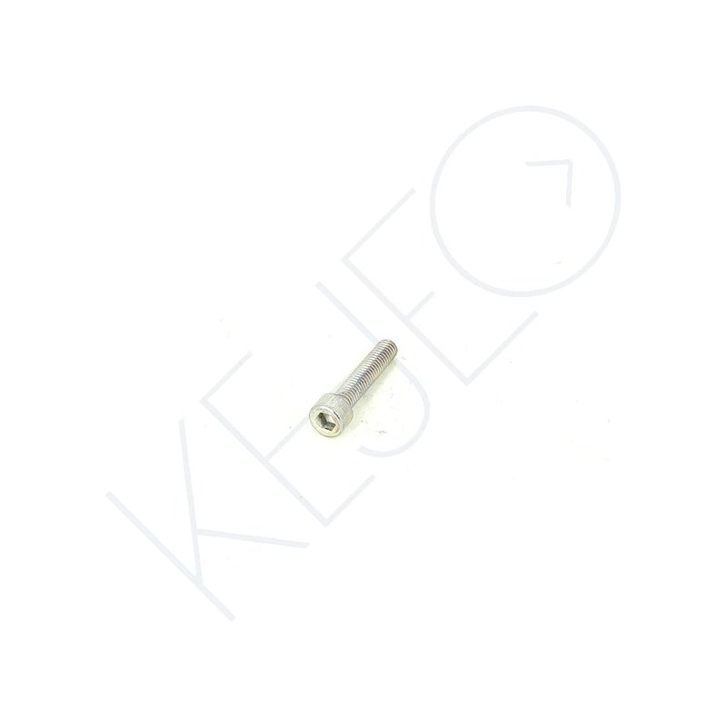 VIS DIN 912 ALLEN M6X30 CAL.8.8 Z/BLANC