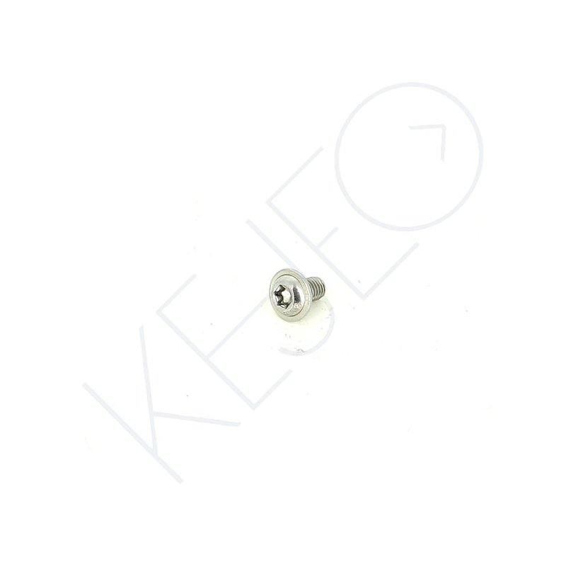 VIS ISO 7380 Torx T-30 AVEC RONDELLE M6x10 INOX