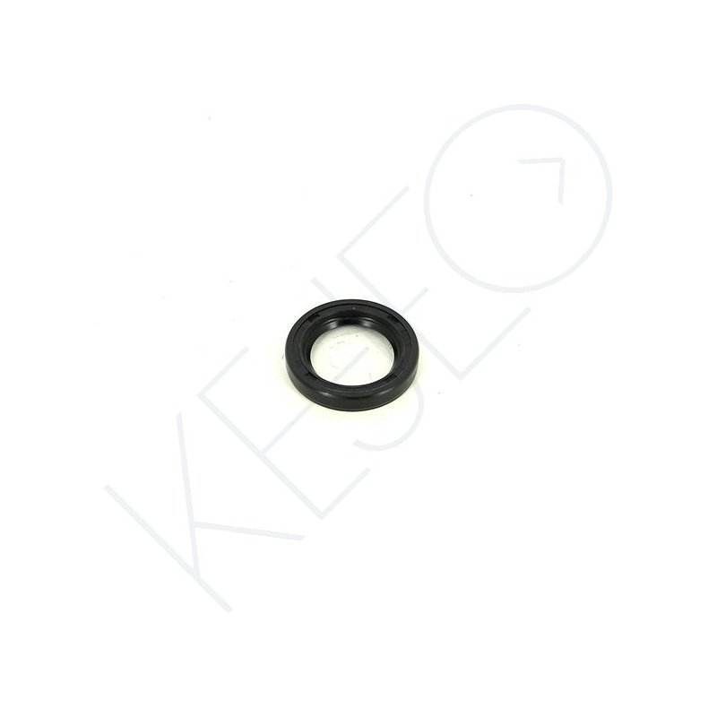 JOINT SPI 22 x 32 x 5,5 SC MBR TT0
