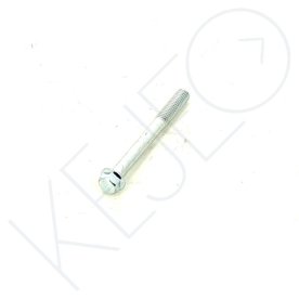 Vis m6x55