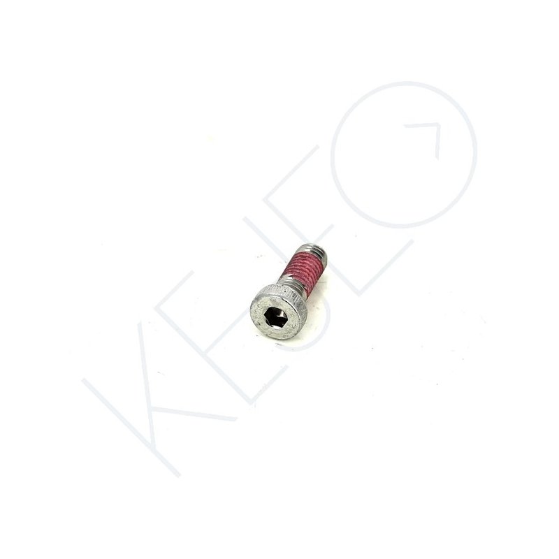VIS M8X20  (DIN7984-2002)