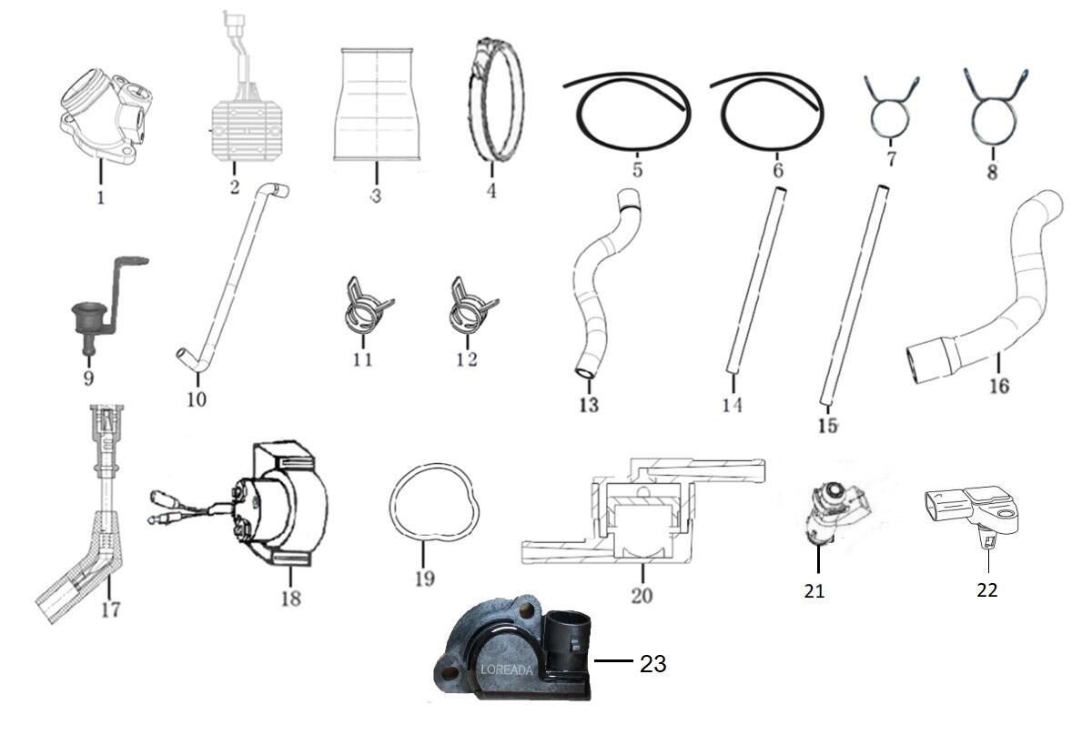COMPONENTES