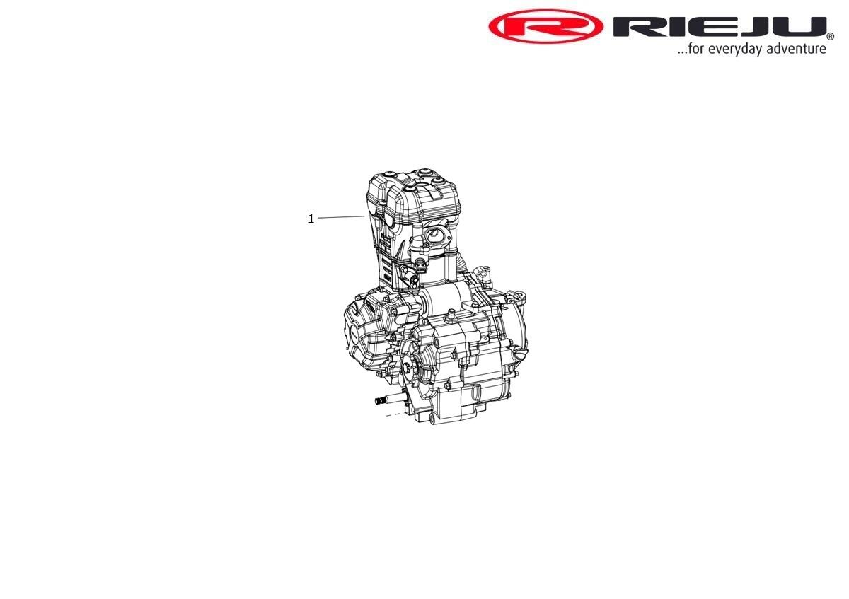 MOTOR COMPLETO